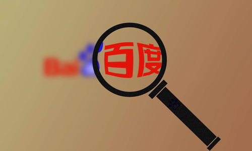 小旋风蜘蛛池改泛目录